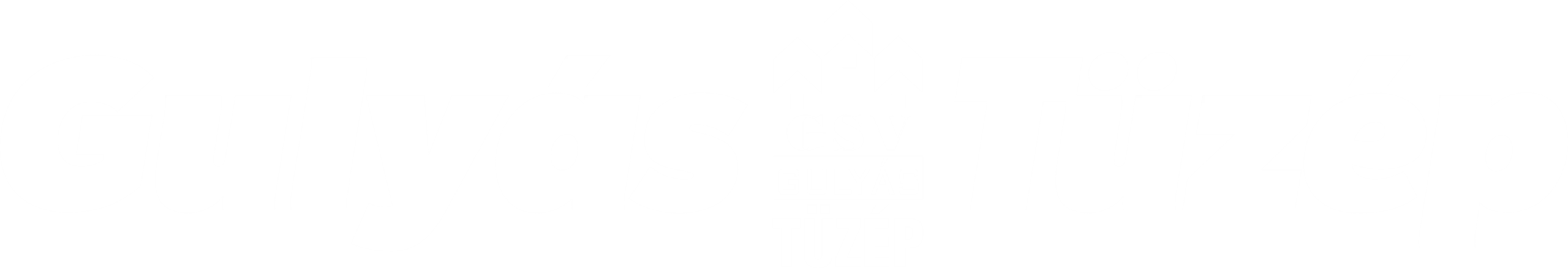 GSV Kft